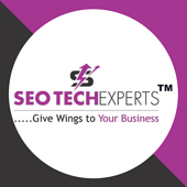 Seo Techexperts