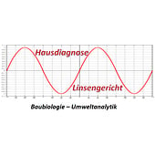 Hausdiagnose Linsengericht