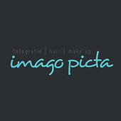 imago picta