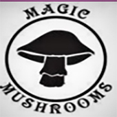 Magic Mushrooms