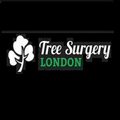 Tree Surgery London—Gardeners Balham