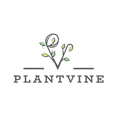 Plant Vine