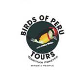 Birds of Peru Tours