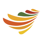 Conure telecom services