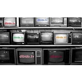 dibido.tv GmbH