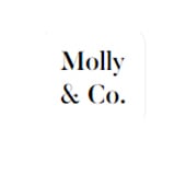 Molly & Co. cosmetic artistry LLC