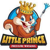 Little Prince Pressure Washing