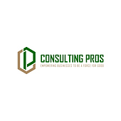 Consulting Pros