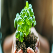 The Survival Prep Store