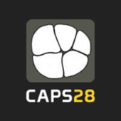 Computing Assisted Practice Solutions (Caps28)