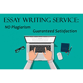 US Essay Writer