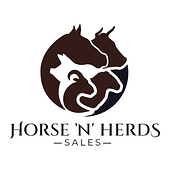 Horse ‘N’ Herds