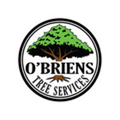 M.A Obriens Trees