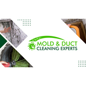 Mold & Duct Cleaning Experts