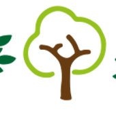J M Tree Services Limited