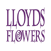 Lloyds Flowers