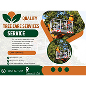 Quality Tree Services in Fremont