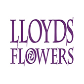 Lloyds Flowers