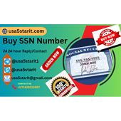 Buy SSN Number