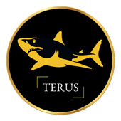 Terus Technology