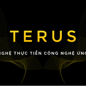 Thiết Kế Website Chuyên Nghiệp Tại Terus