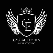 Capital Exotic LLC