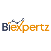 BI Expertz