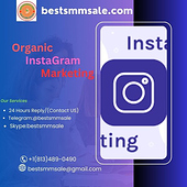 Organic InstaGram Marketing