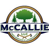 McCallie’s LLC