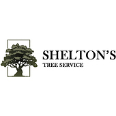 Shelton’s Tree Service