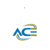 Ace Publishing Services