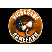 Https://www.gamefowlsforsale.net/ Https://www.gamefowlsforsale.net/