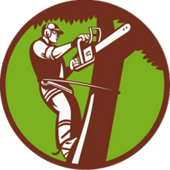 Owner Jr & Dubon Tree Service