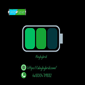 Hybrid Battery Repair
