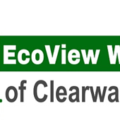 Windows of Clearwater