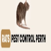 Rats Pest Control Perth