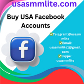 Buy USA Facebook Accounts Usasmmlite366