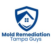 Mold Remediation Tampa Guys