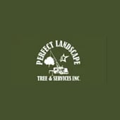 Tree & Services, Perfect Landscape