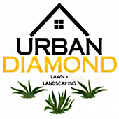 Urban Diamond Lawn