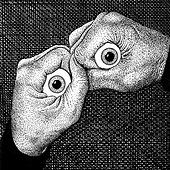 David Nolte