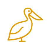 Pelican Pools