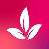 konzeptklar® Grafikdesign