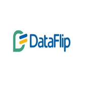 Data Flip