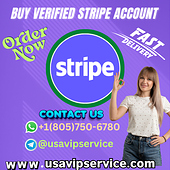 usavipservice.com