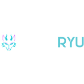 Nakaryu Webdesign Agentur