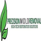 Precision Mold Removal Miami