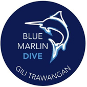 The PADI IDC Gili Trawangan – G ili Islands—Indonesia