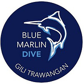 The PADI IDC Gili Trawangan – Gili Islands—Indonesia