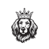 Tudor Energy LLC